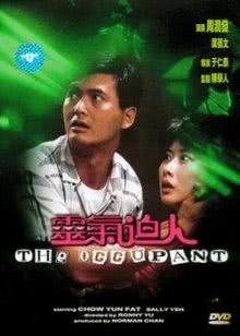 小树的天空