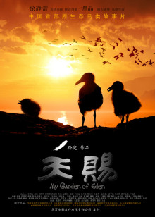 毒战2020
